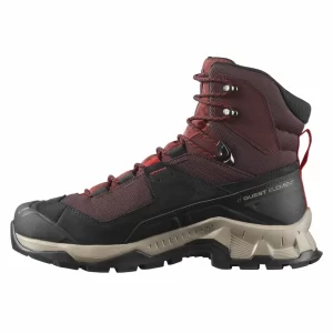 Salomon Quest Element GTX Trekkingschuhe Chocolate Plum/Madder Brown/Goji Berry Herren 9