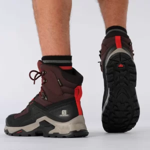 Salomon Quest Element GTX Trekkingschuhe Chocolate Plum/Madder Brown/Goji Berry Herren 15